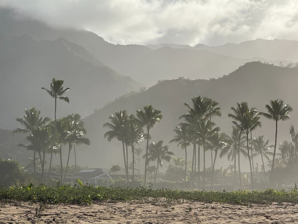 Hanalei · nature & bay 9