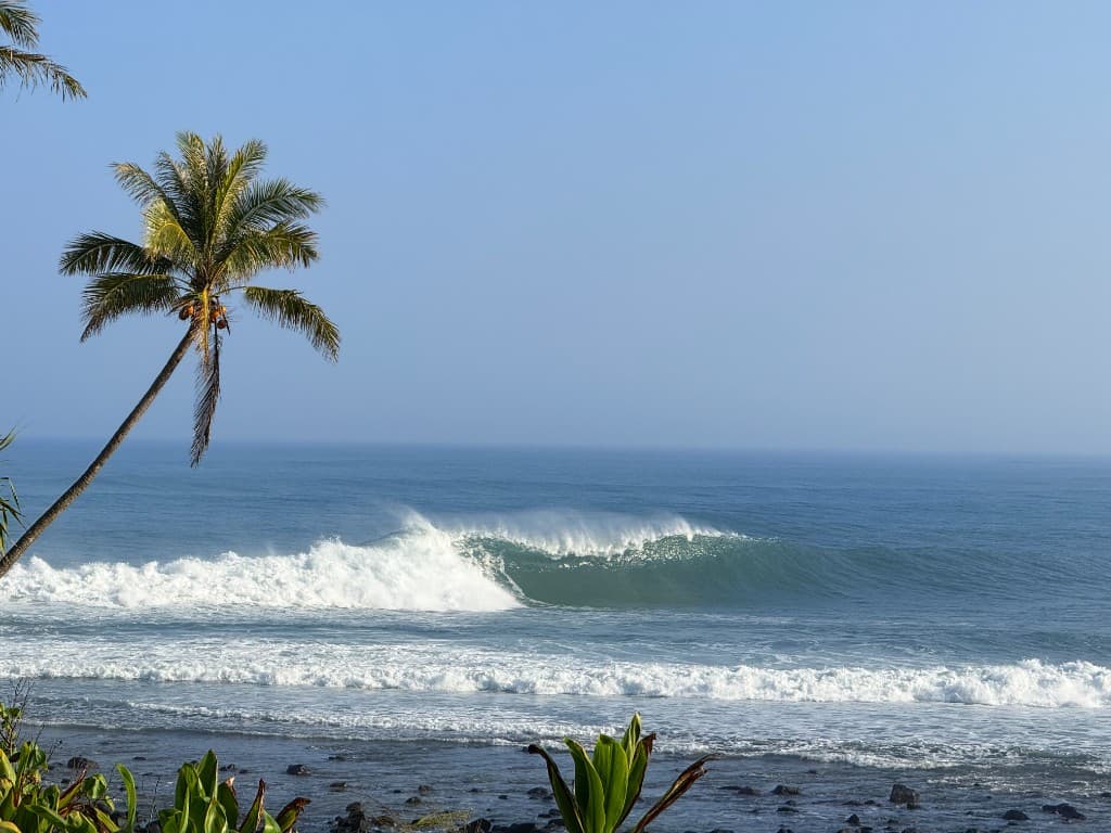 Hanalei · nature & bay 18