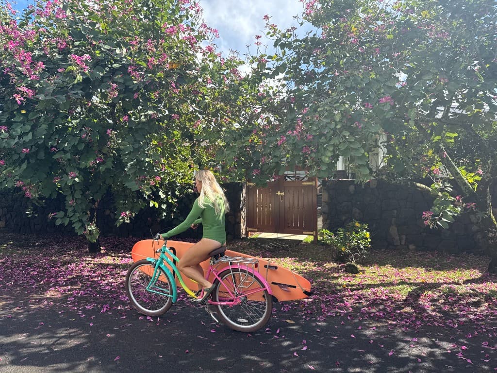 Hanalei · nature & bay 4