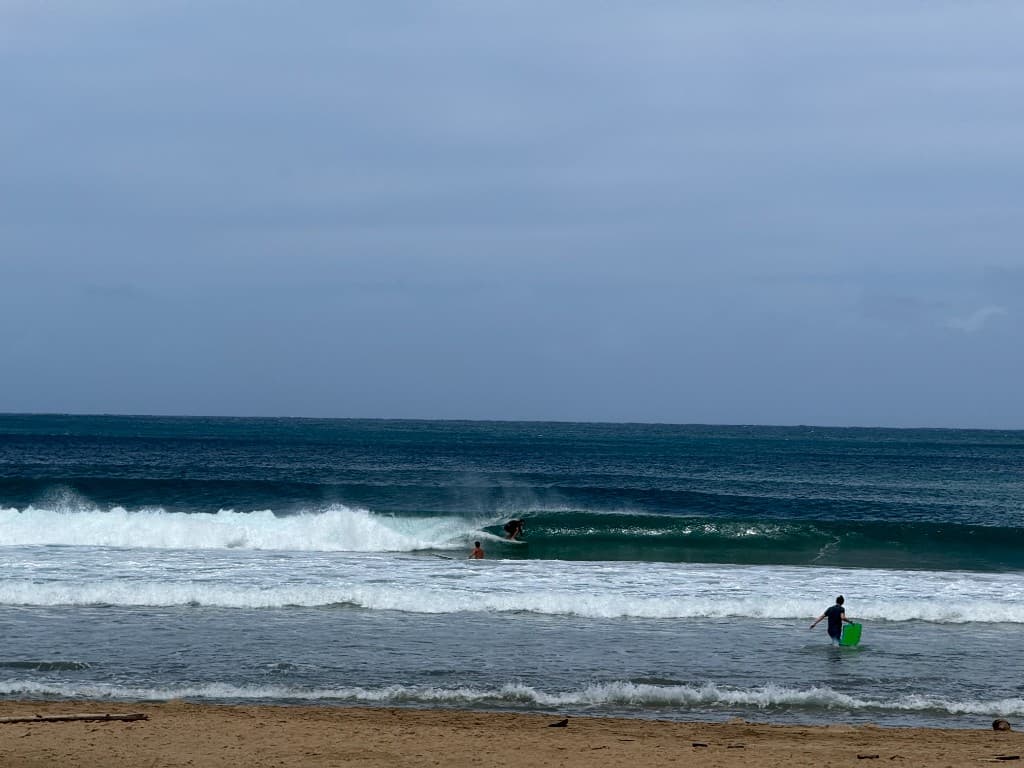 Hanalei · nature & bay 3