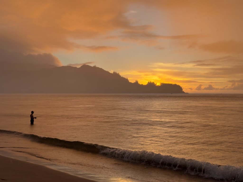 Hanalei · nature & bay 1