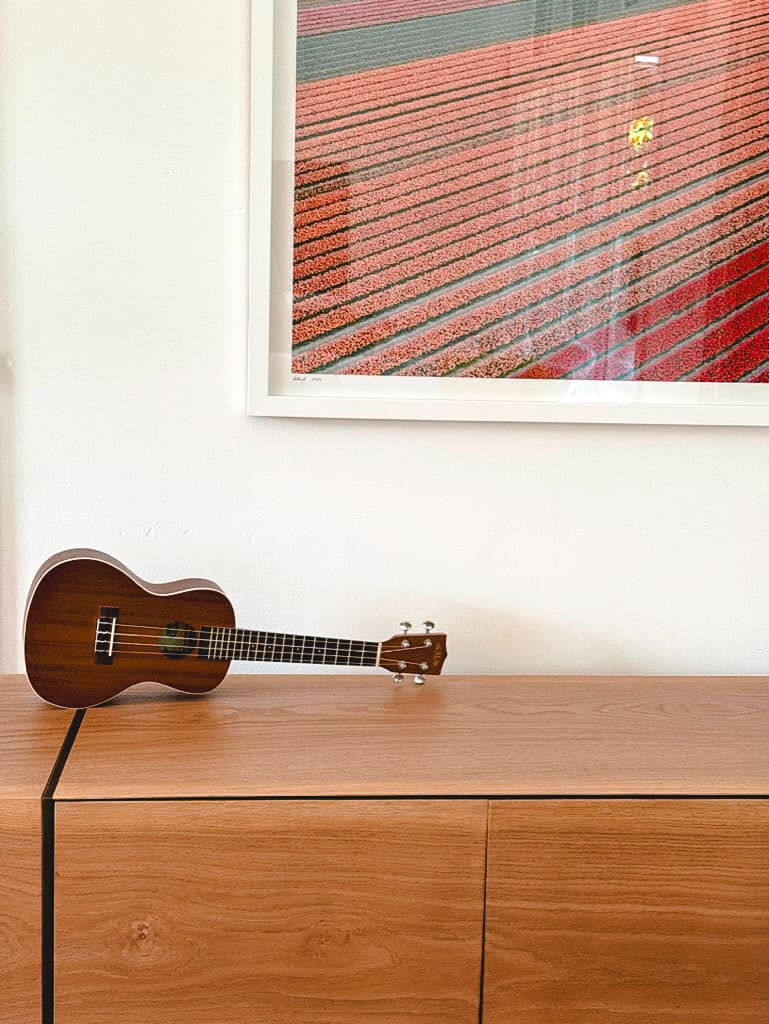 Hanalei · main house 44